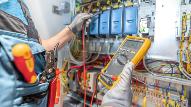 Best Electric Panel Repair  in Delisle, MS